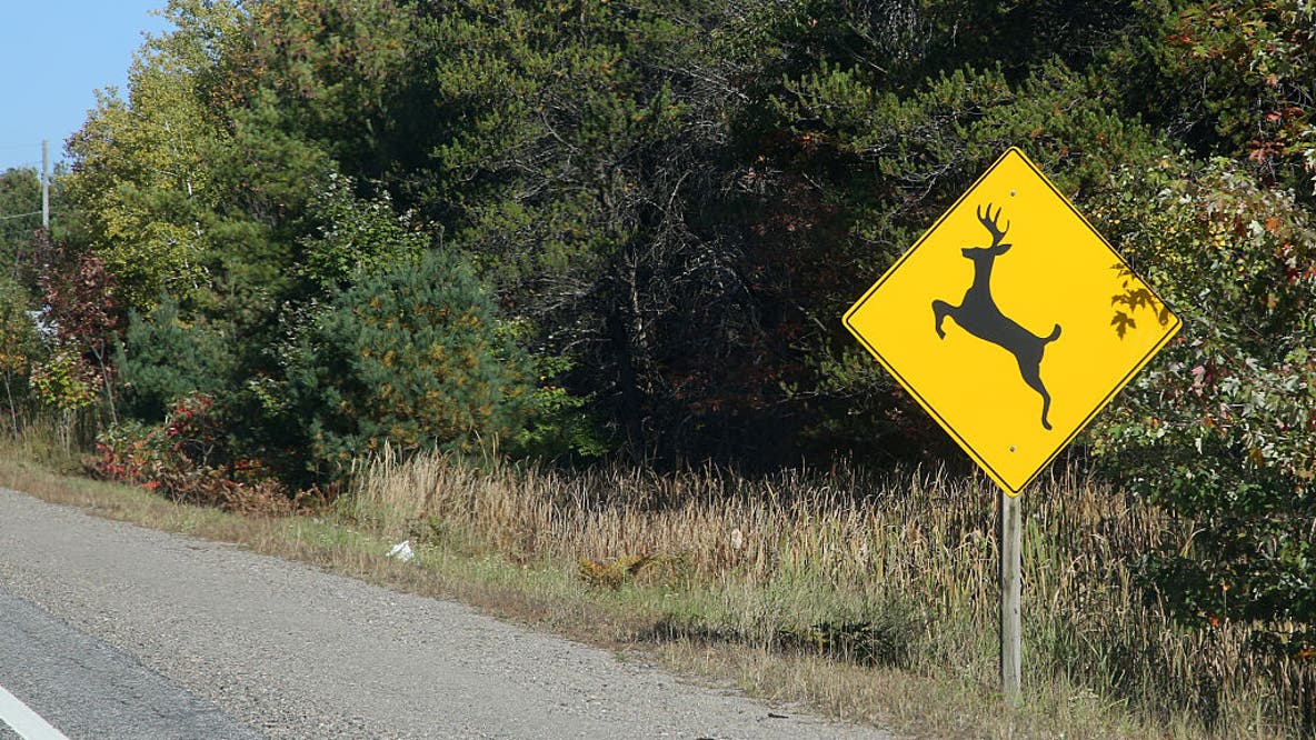Motorcyclists seriously injured after hitting deer in southern Minnesota