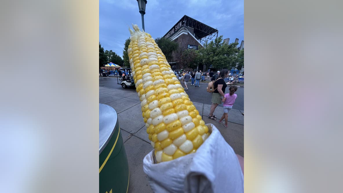 Minnesota State Fair inflation slows to 3%, St. Thomas 'On a Stick' report finds