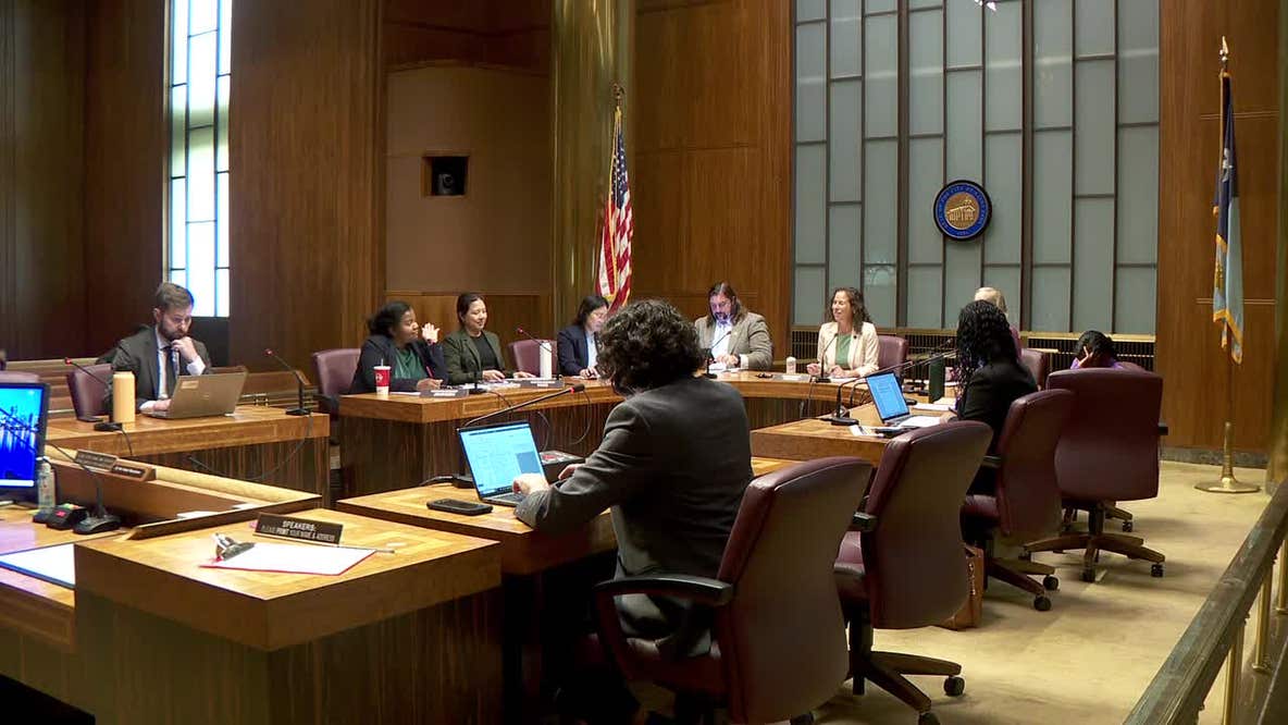 St. Paul City Council calls for end to Flock cameras — but stops short of a ban