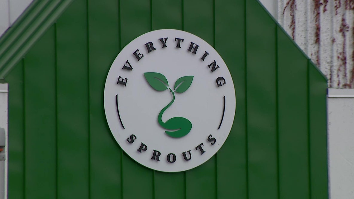 Everything Sprouts in Minneapolis expands recall as FDA eyes seed supplier in multistate outbreak