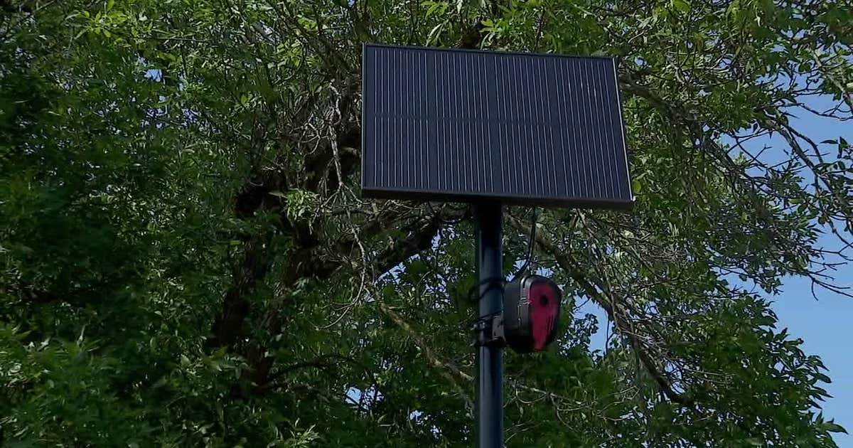 Winona PD won't replace stolen Flock cameras