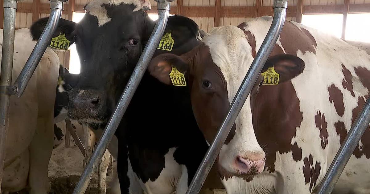 Some Minnesota farmers feel pressure of dry spell as drought deepens