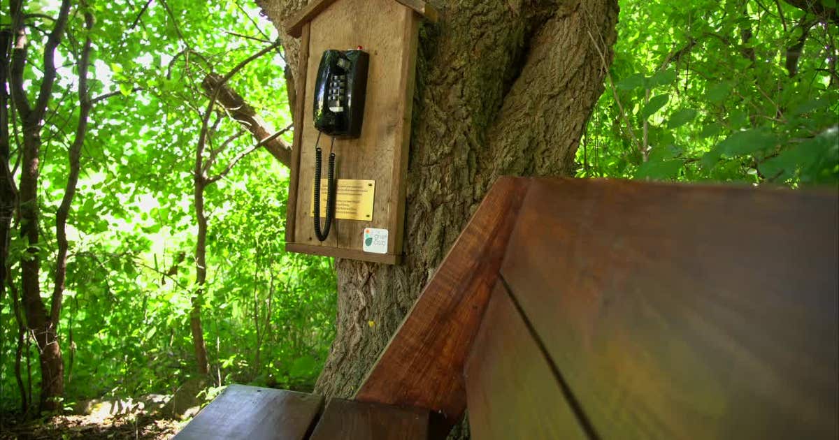 From Japan to Minnesota: Wind phones give grieving people a voice for their loss