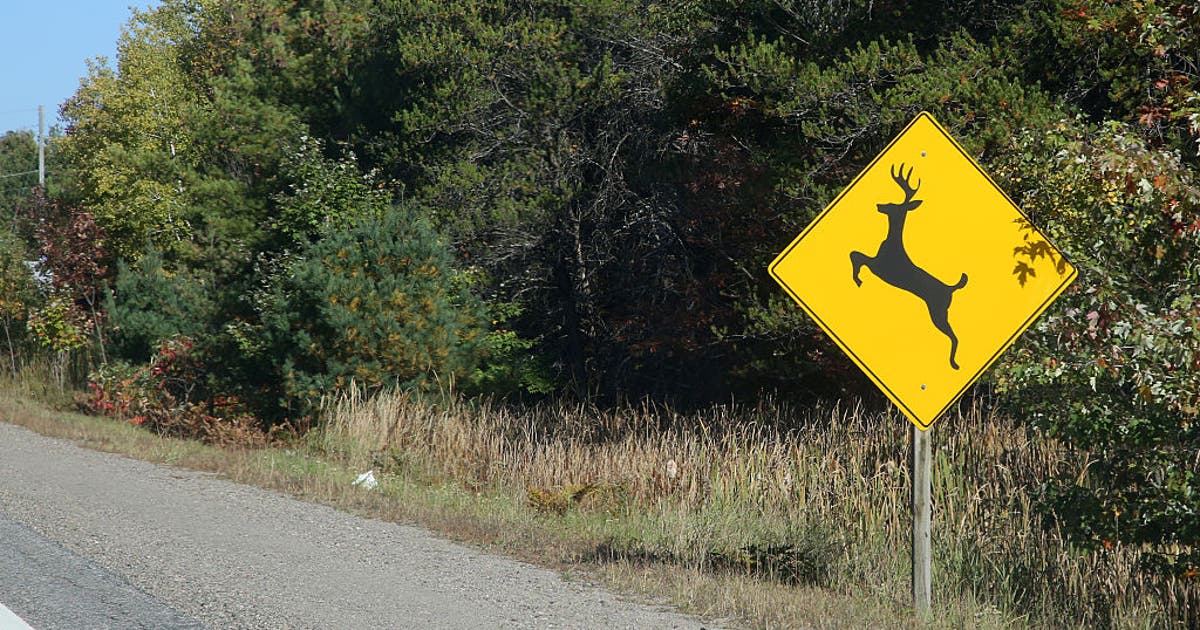 Motorcyclists seriously injured after hitting deer in southern Minnesota