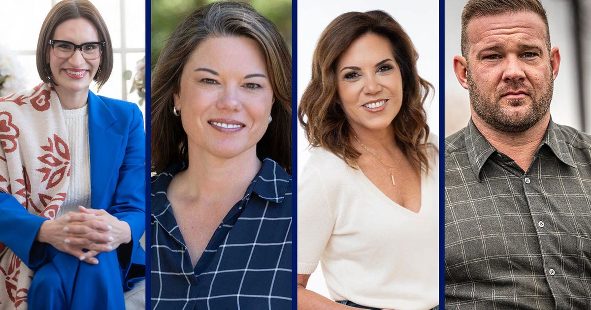 MN Senate primary: DFL candidate Angie Craig