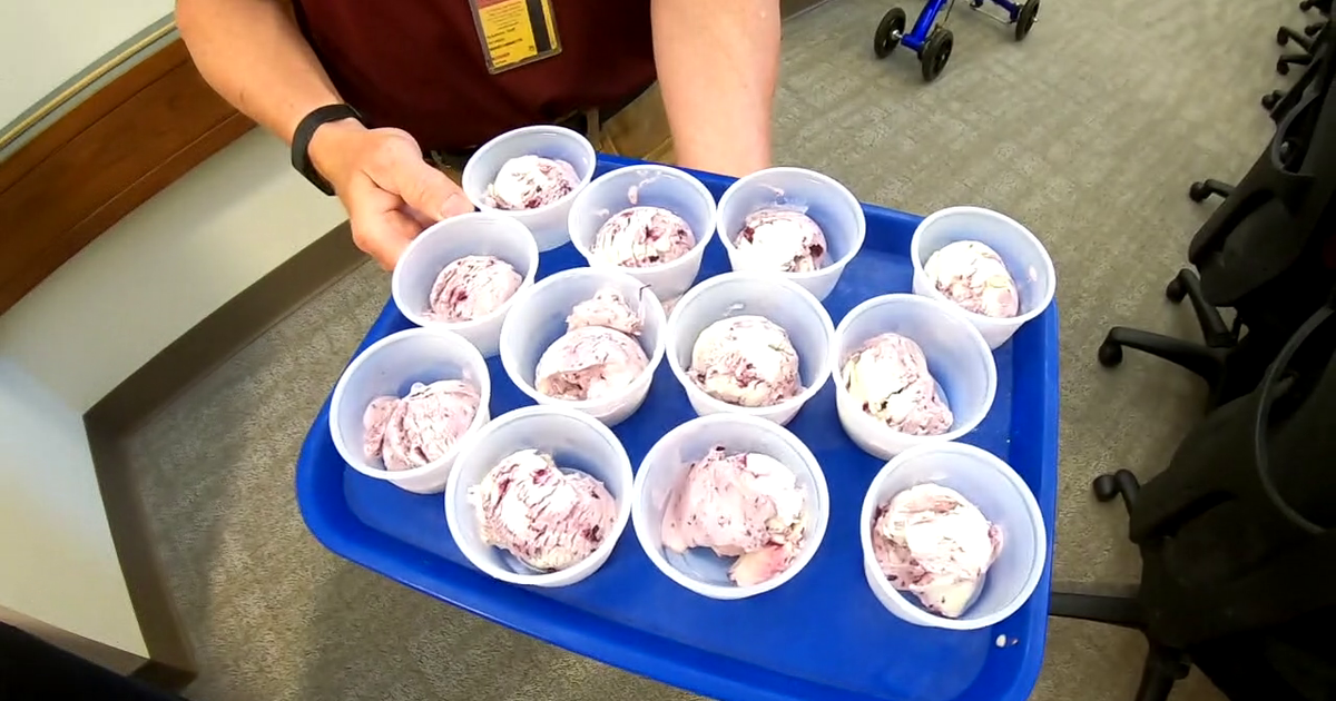 University of Minnesota unveils winning Ice cream flavor for 175th anniversary
