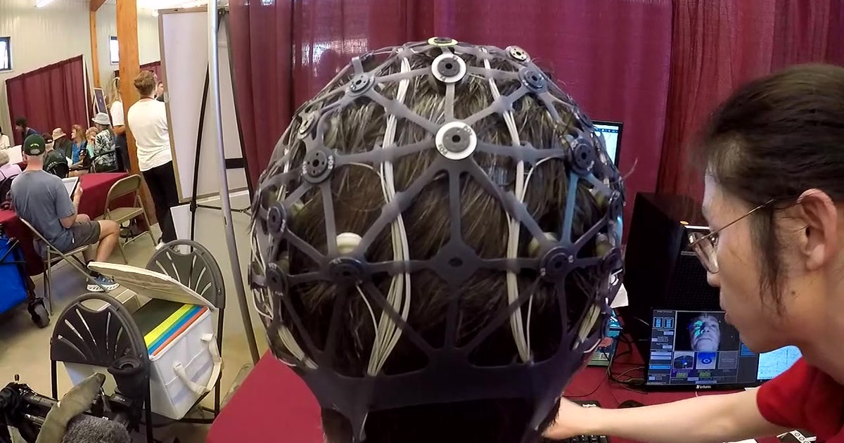 University of Minnesota State Fair: Play Tetris, help researchers study how your brain plans
