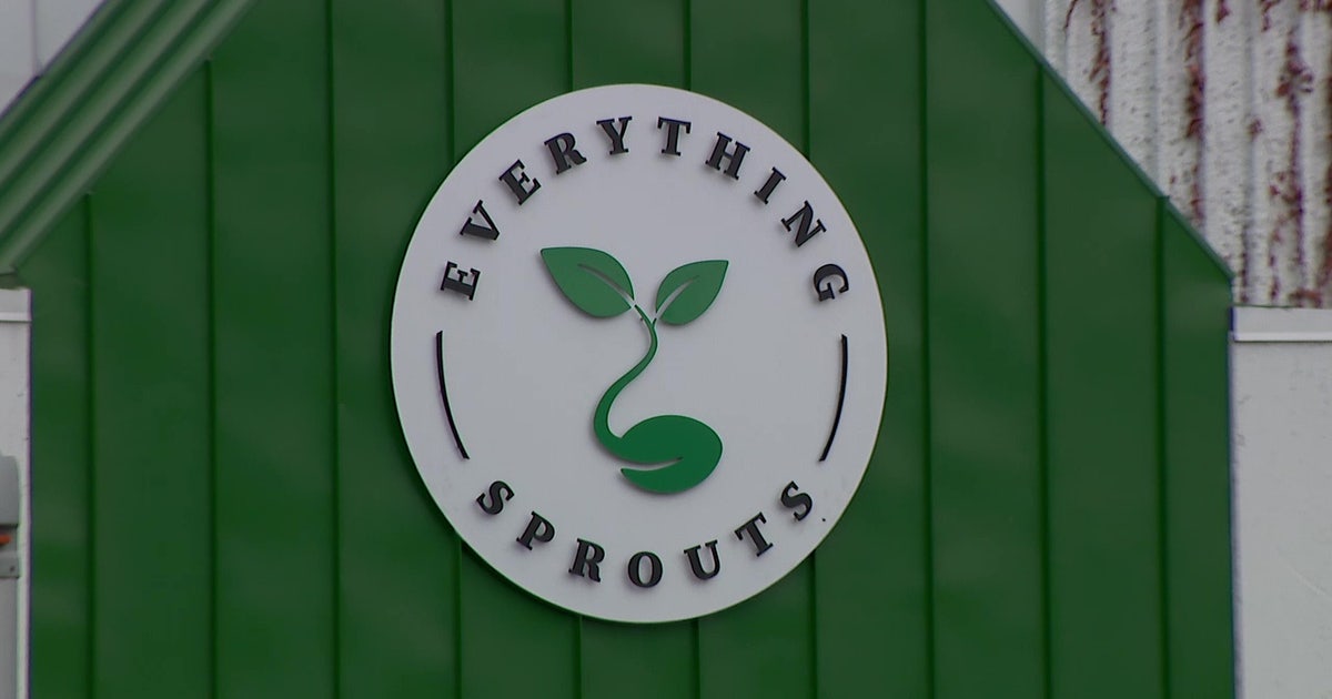 Everything Sprouts in Minneapolis expands recall as FDA eyes seed supplier in multistate outbreak