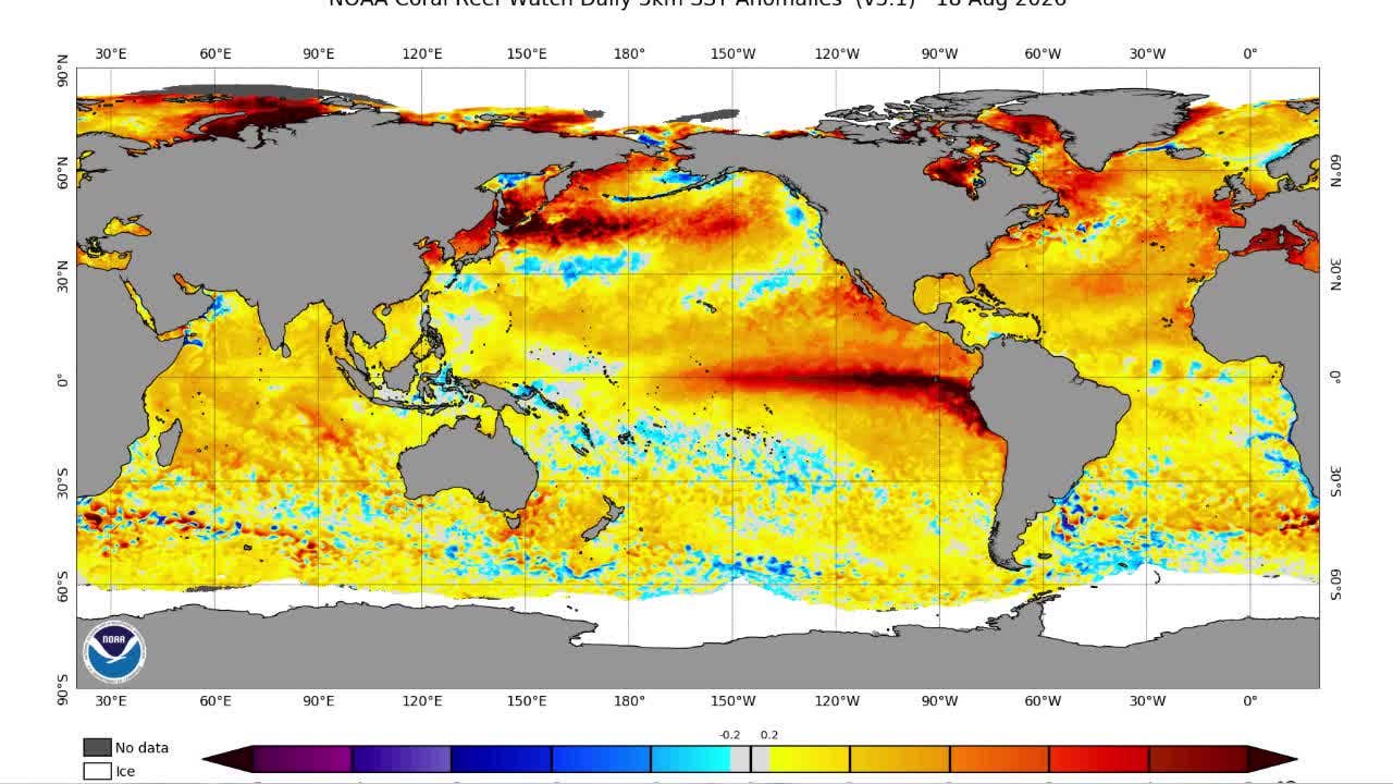 El Niño 2026: Why this year's pattern could mean warmer Minnesota winter