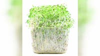 Minneapolis sprouts distributor linked to salmonella, E. coli outbreak in 15 states