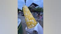 Minnesota State Fair inflation slows to 3%, St. Thomas 'On a Stick' report finds