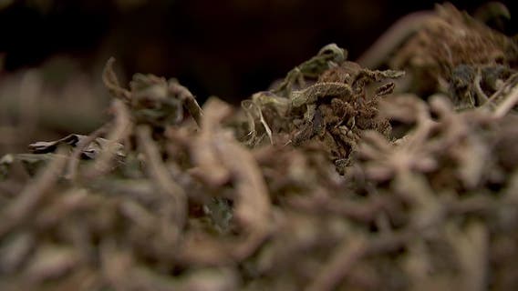 Hemp THC deadline hits $200 million industry, leads to layoffs, but liquor stores may maintain