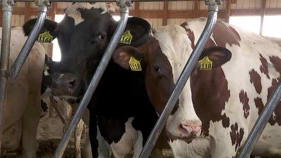 Some Minnesota farmers feel pressure of dry spell as drought deepens