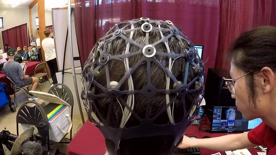 University of Minnesota State Fair: Play Tetris, help researchers study how your brain plans