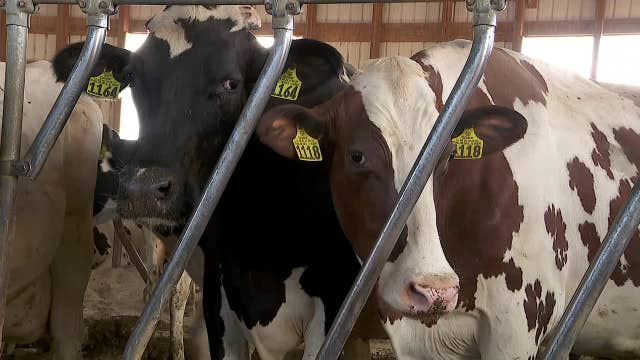 Some Minnesota farmers feel pressure of dry spell as drought deepens