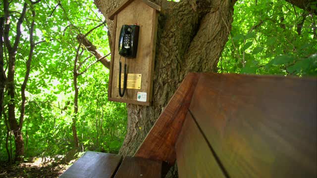 From Japan to Minnesota: Wind phones give grieving people a voice for their loss