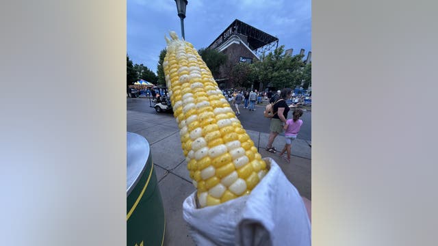 Minnesota State Fair inflation slows to 3%, St. Thomas 'On a Stick' report finds