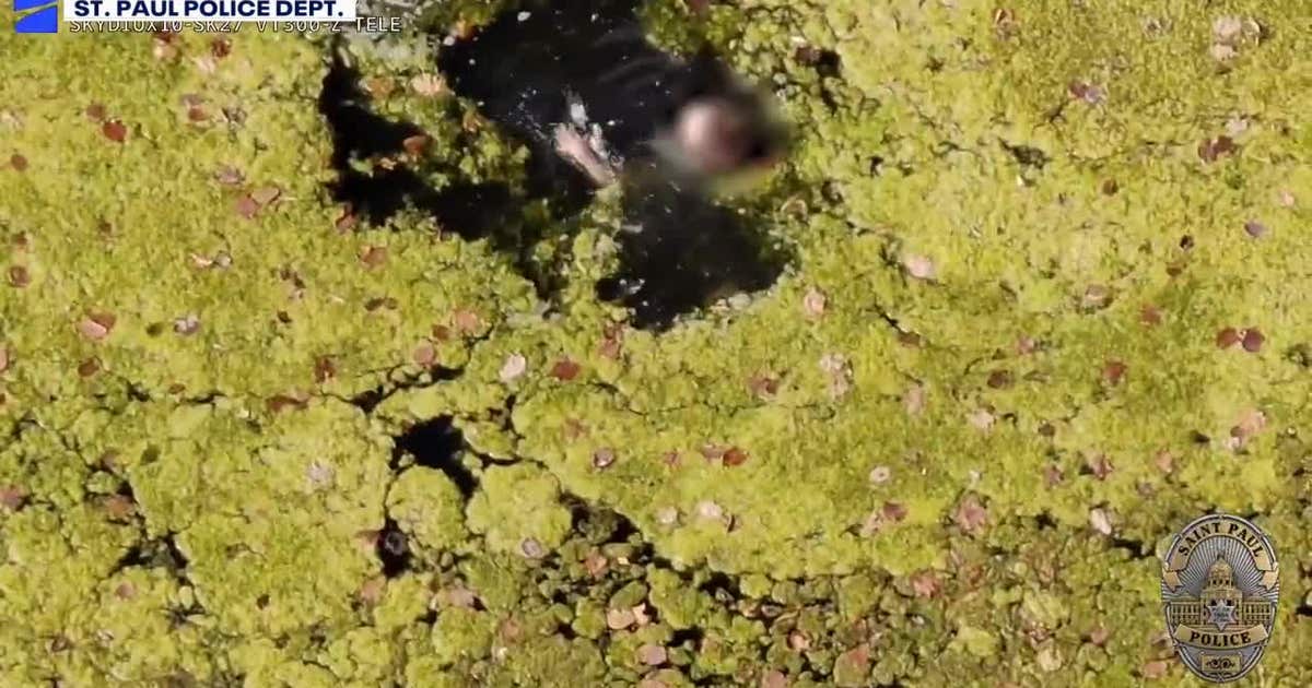 Docked drone program helped rescue child from pond, St. Paul police say