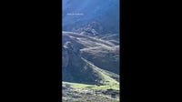 Cow airlifted off French mountain in viral helicopter rescue video