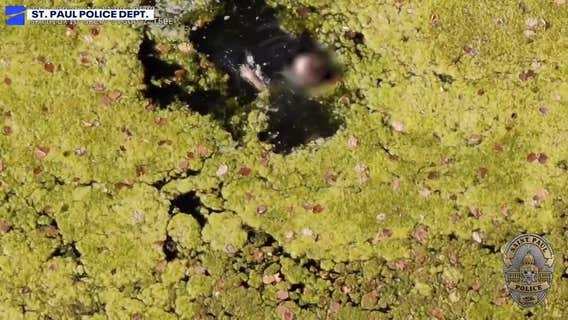 Docked drone program helped rescue child from pond, St. Paul police say
