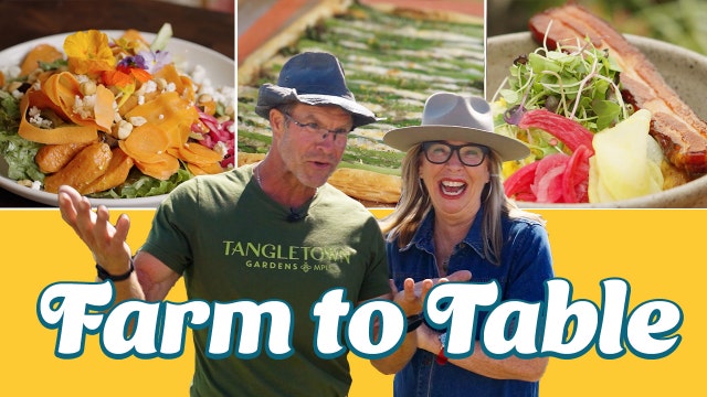 Taste Buds: Farm to Table with Wise Acre Eatery