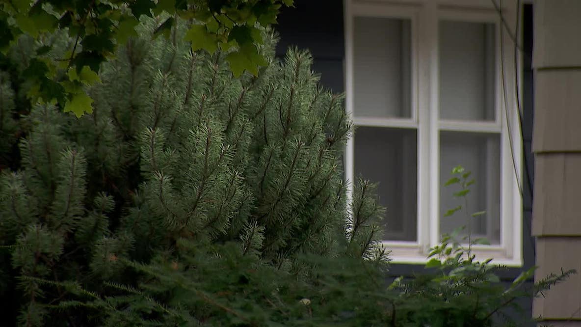'Extreme risk' serial peeping tom posts $300K bond, out of jail again
