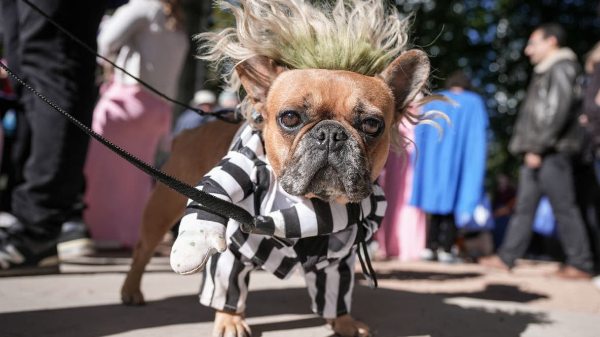 Things to do in Minnesota: 5 things to do this weekend (Oct. 23-25)