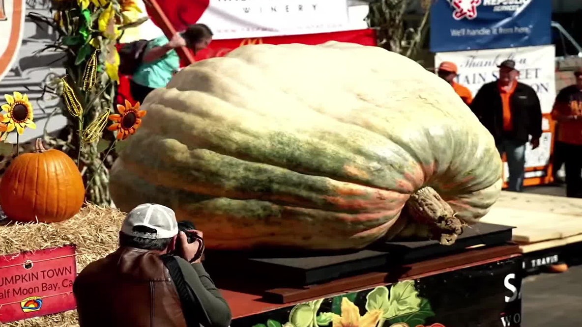 Minnesota pumpkin grower wins 5th world championship with 2,389-pound pumpkin