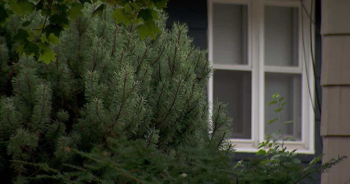 'Extreme risk' serial peeping tom posts $300K bond, out of jail again