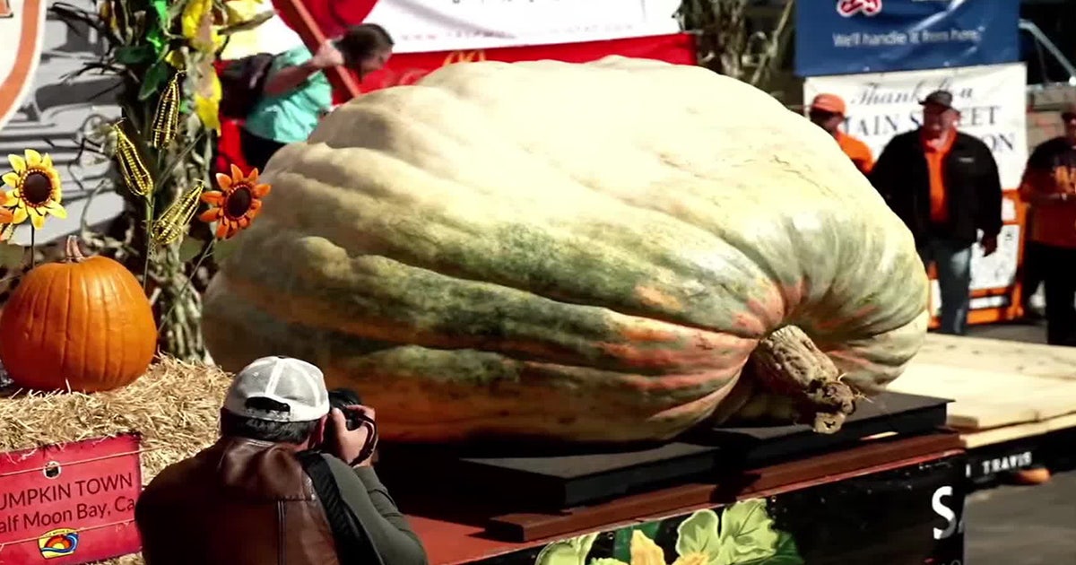 Minnesota pumpkin grower wins 5th world championship with 2,389-pound pumpkin