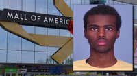 Mall of America terror plot: Twin Cities teen charged in alleged planned attack