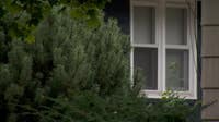 'Extreme risk' serial peeping tom posts $300K bond, out of jail again