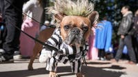 Things to do in Minnesota: 5 things to do this weekend (Oct. 23-25)