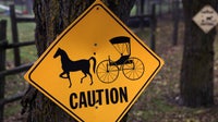 Horse-drawn buggy crash in Becker County injures 2 kids, 2 adults