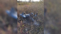 Wisconsin plane crash: Injured pilot rescued by DNR warden via airboat