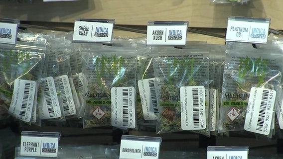 New survey reveals age range most likely to drive after cannabis use