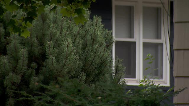 'Extreme risk' serial peeping tom posts $300K bond, out of jail again