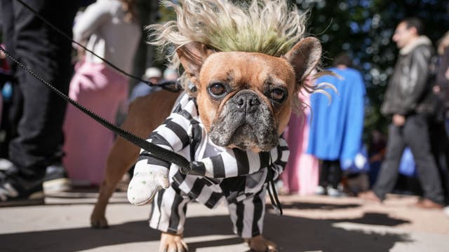 Things to do in Minnesota: 5 things to do this weekend (Oct. 23-25)