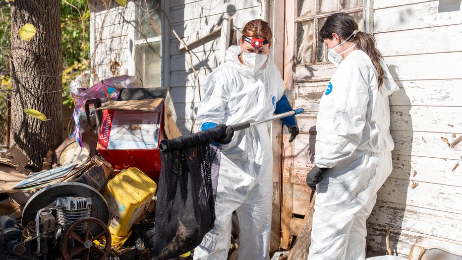 Image shows Animal Humane Society staff removing cats from a neglected property.