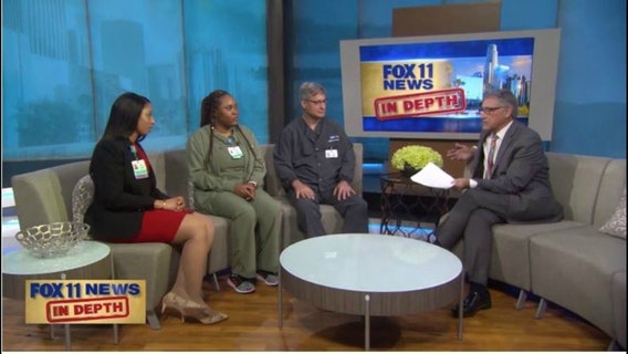 What The Hal? Training programs in cloud computing and the medical field