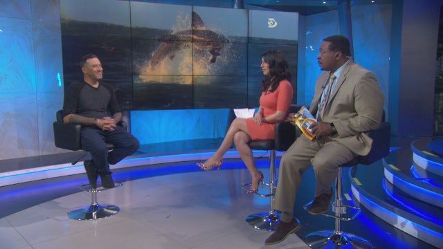 Joe Romeiro talks 'Shark Week' on Discovery Channel