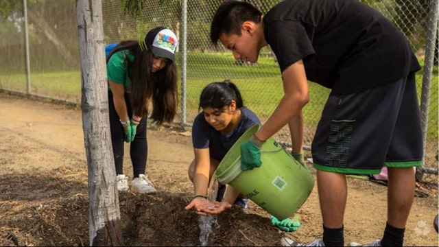 What The Hal? Healing the environment with TreePeople