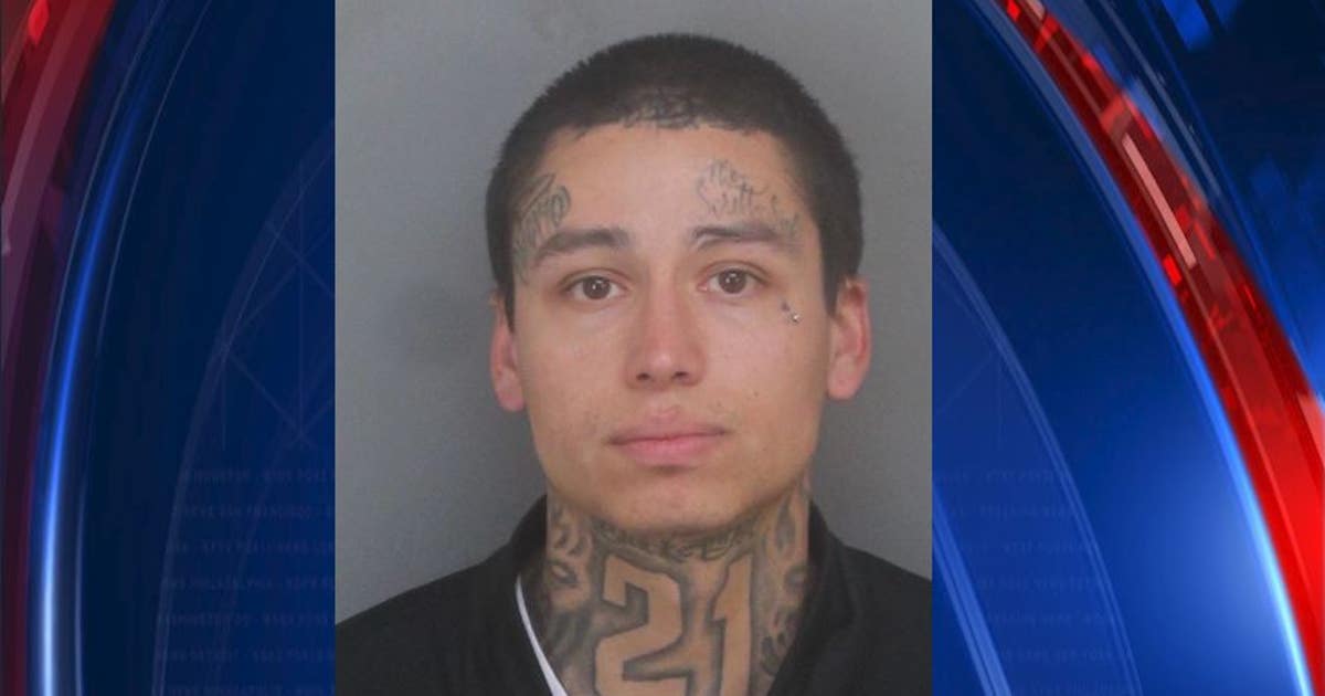Man arrested after stabbing two people at two different Ontario parks ...