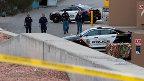 ‘Gunfire incidents everywhere’: Countries issue travel alerts for US after mass shootings