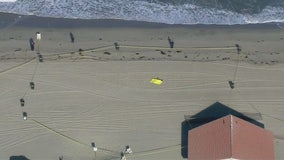 Two bodies found on Torrance Beach shoreline