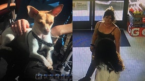 Woman allegedly stole beloved dog from dying man who was having seizure in parking lot