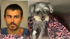 Man faces animal cruelty charges after brutally attacking dog in Port Hueneme