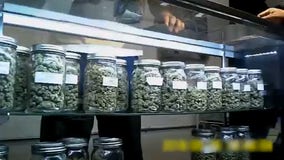 City shuts down illegal cannabis dispensary in South Los Angeles