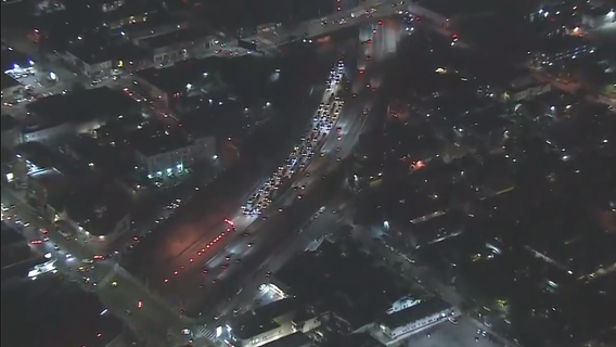 Homeless man chased by officers fatally struck in Hollywood