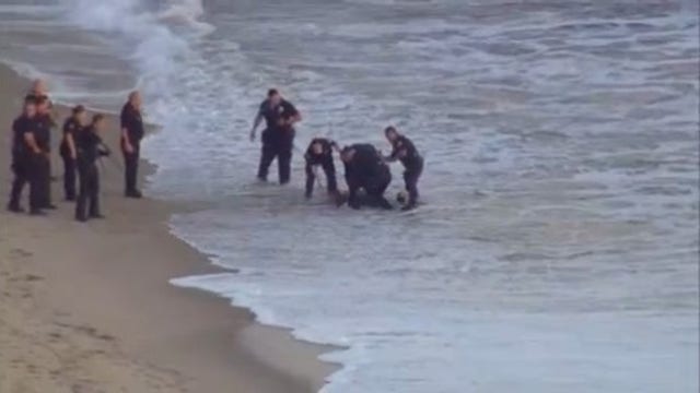 Man taken into custody after fleeing police on beach, jumping into ocean